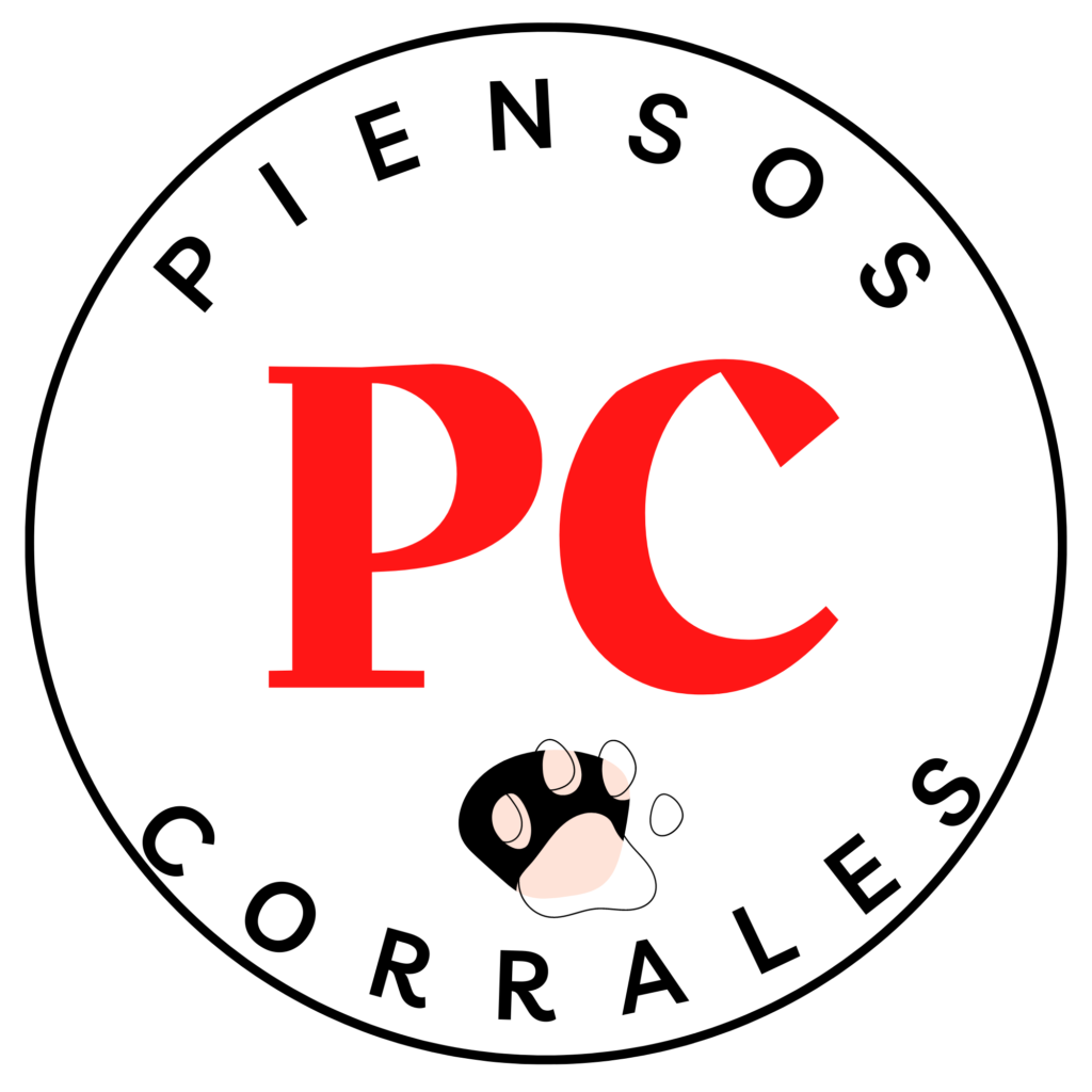 Antonio JesúsCorrales Pulido